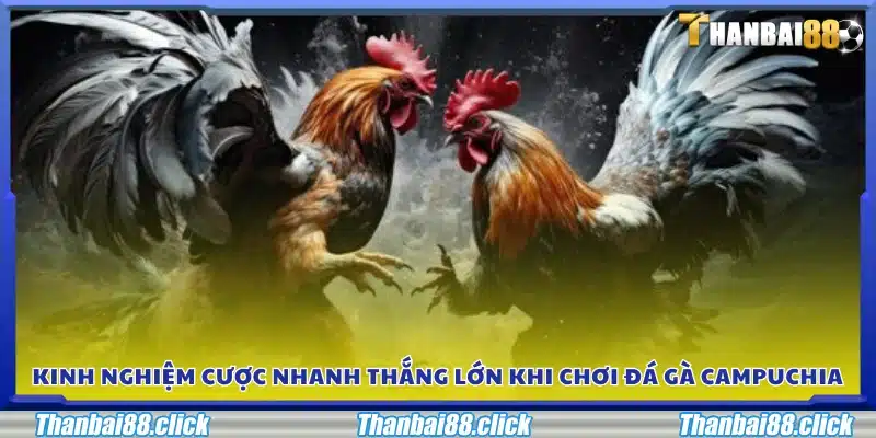 Bí quyết đặt cược nhanh để gia tăng cơ hội thắng lớn 