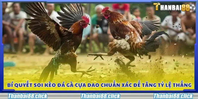 Kinh nghiệm soi kèo hiệu quả nâng cao cơ hội thắng