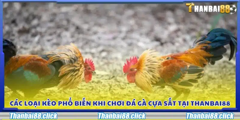 Các dạng kèo được nhiều người chơi lựa chọn 