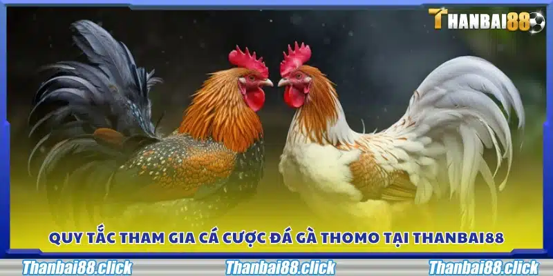 Những nguyên tắc cần tuân thủ khi đặt cược đá gà Thomo 