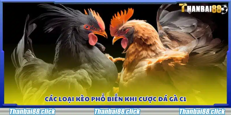 Những hình thức kèo thường gặp khi tham gia cá cược đá gà C1 