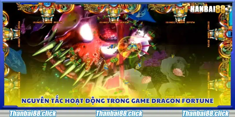 Nguyên tắc hoạt động trong game Dragon Fortune