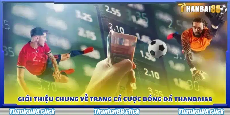 Tổng quan về trang cá cược bóng đá Thanbai88