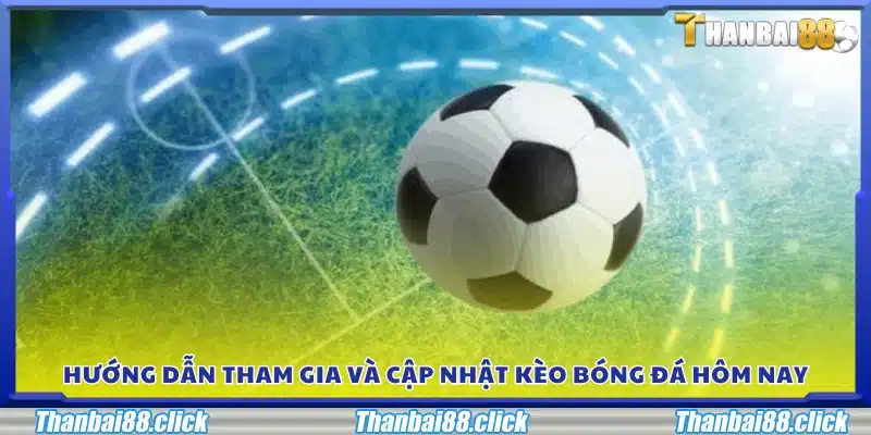 Cách tham gia đặt cược và theo dõi kèo bóng đá mới nhất