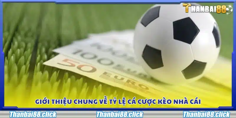 Khái quát về tỷ lệ cá cược kèo nhà cái